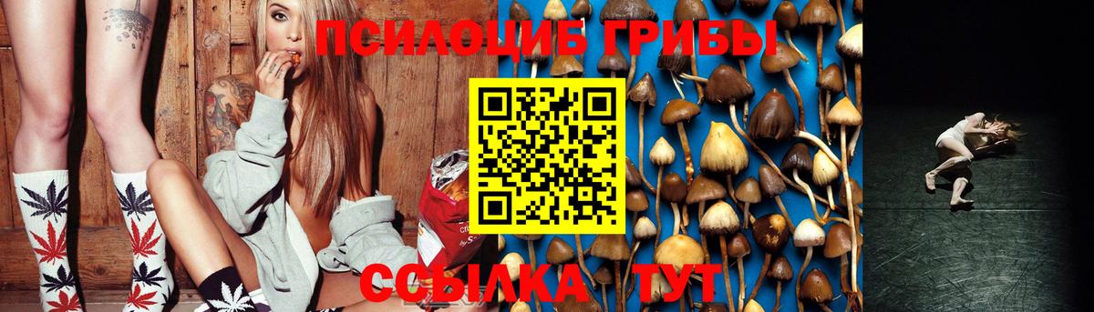 Павловский Посад  Галлюциногенные грибы Cubensis  Галлюциногенные грибы Magic Shrooms  Вход с VPN 