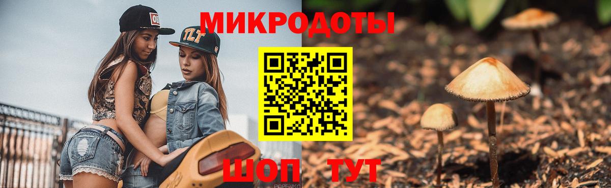 Галлюциногенные грибы Psilocybine cubensis Павловский Посад